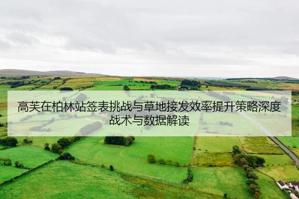 gao-fu-zai-bo-lin-zhan-qian-biao-tiao-zhan-yu-cao-di-jie-fa-xiao-lv-ti-sheng-ce-lve-shen-du-zhan-shu-yu-shu-ju-jie-du-2-458.jpg