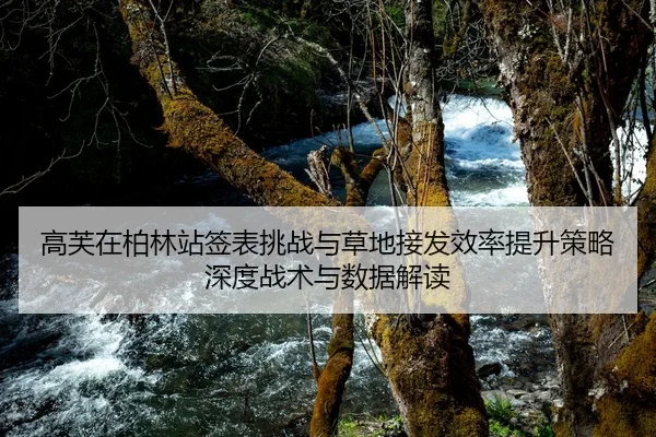 高芙在柏林站签表挑战与草地接发效率提升策略深度战术与数据解读